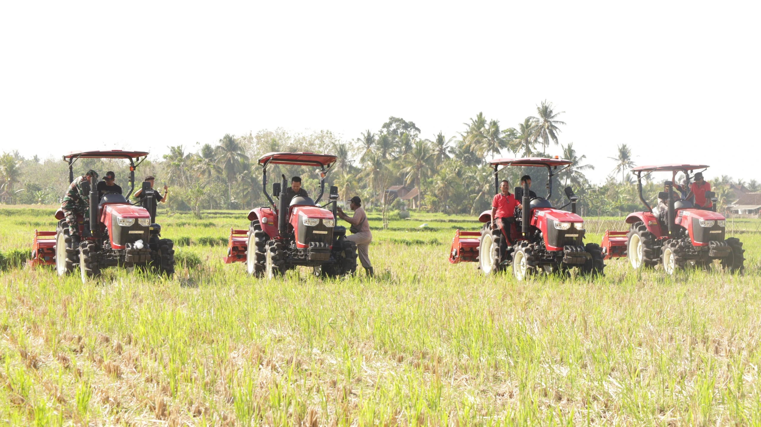 Perkuat Mekanisasi Pertanian, Pemkab Jembrana Serahkan Bantuan Alsintan kepada Kelompok Tani
